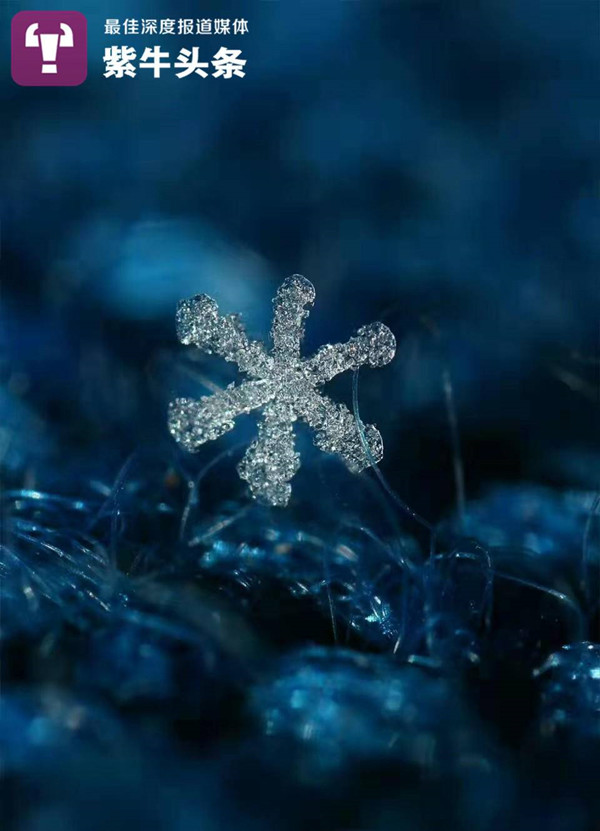 Un hombre fotografía copos de nieve bajo un microscopio durante 15 a?os