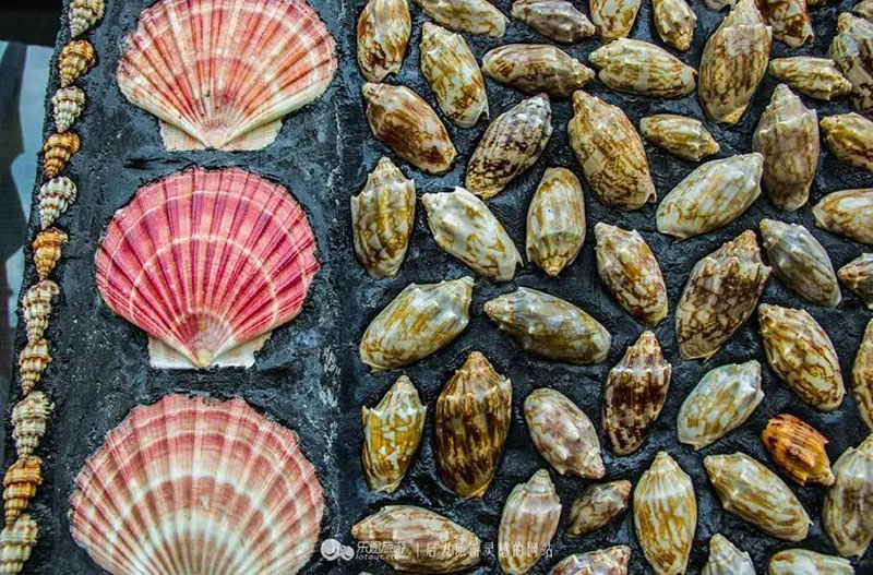 Decoraciones de conchas en la pared. (Foto / thepaper.cn)