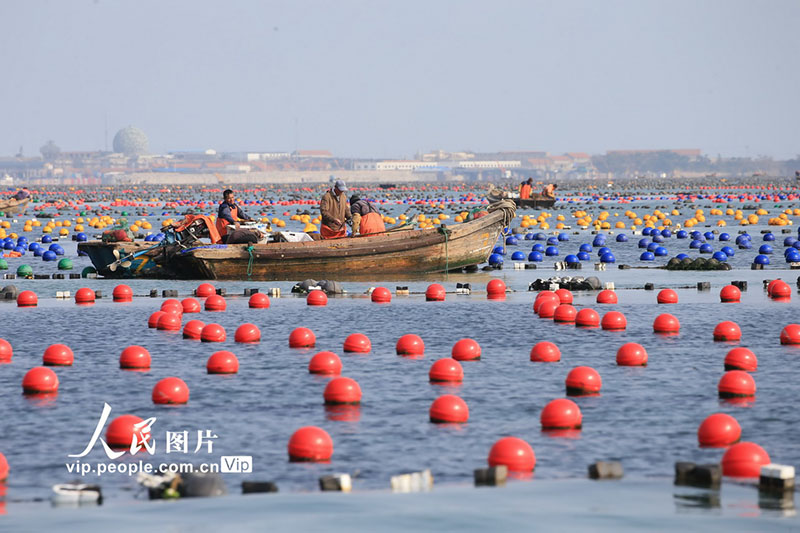 Foto de Wang Fudong (Pueblo en Línea)