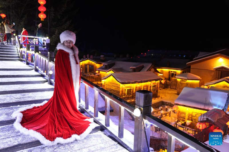 Encantador paisaje nevado en la granja forestal Shuangfeng de Heilongjiang