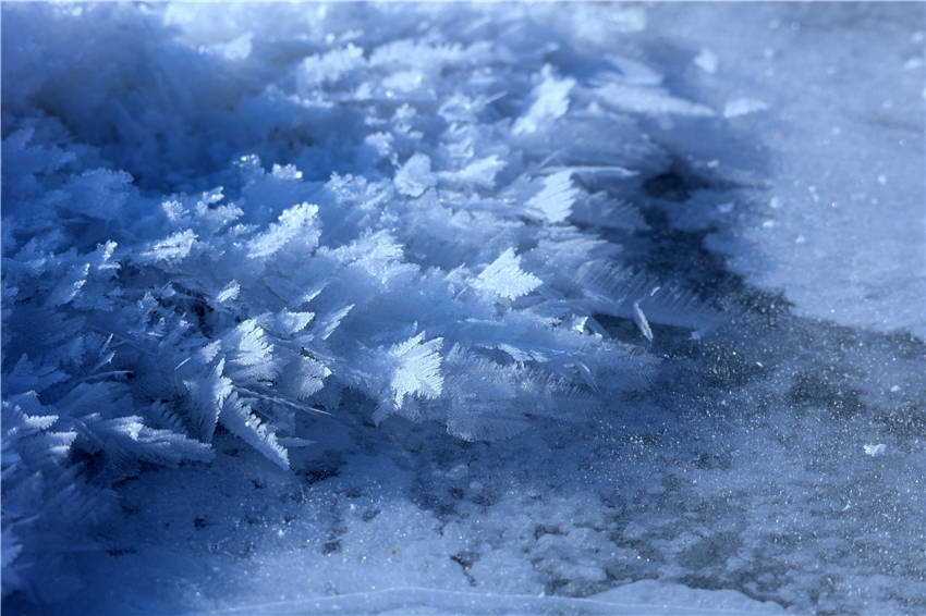 La nieve ilumina el paisaje de Kanas en Xinjiang