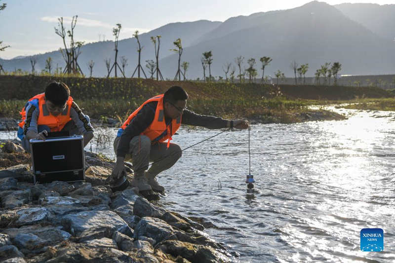 China construye un proyecto hidroeléctrico en un área de hábitat de peces en Guangxi