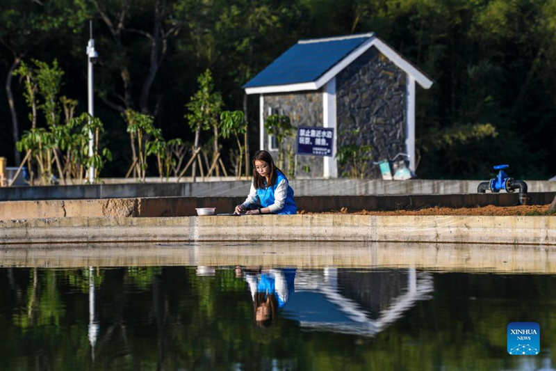 China construye un proyecto hidroeléctrico en un área de hábitat de peces en Guangxi