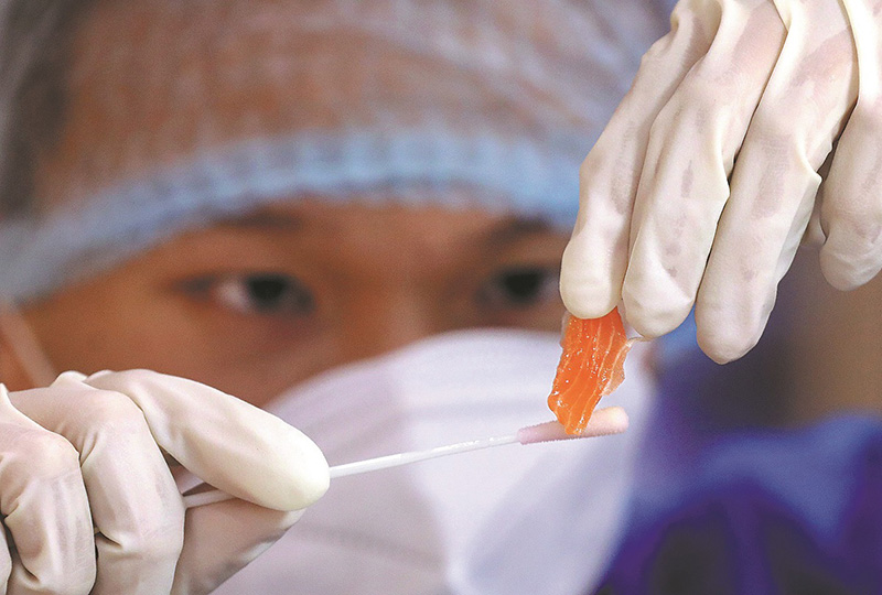 Miembro del equipo de prueba recolecta muestras de ácido nucleico de salmón a la venta en una tienda en Beijing el 9 de septiembre. (Foto: Zhu Xingxin/ China Daily)