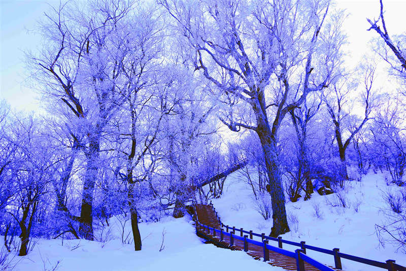 La escarcha crea un paisaje de cuento de hadas en Jilin