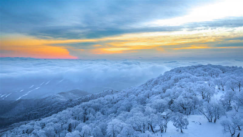 La escarcha crea un paisaje de cuento de hadas en Jilin