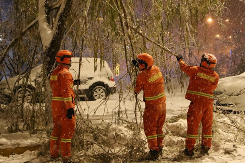 Bomberos forestales de Heilongjiang: héroes en el ojo del fuego