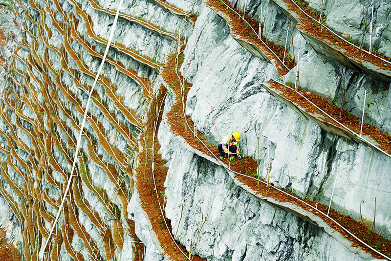 La foto muestra a un trabajador plantando árboles jóvenes en una plataforma estrecha construida a lo largo del acantilado de una monta?a en Liuzhou, en la región autónoma Zhuang de Guangxi, en el sur de China, en marzo de 2021. (Foto / Li Hanchi)