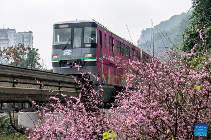 Florecen los árboles a lo largo de la famosa estación de tren Liziba de Chongqing