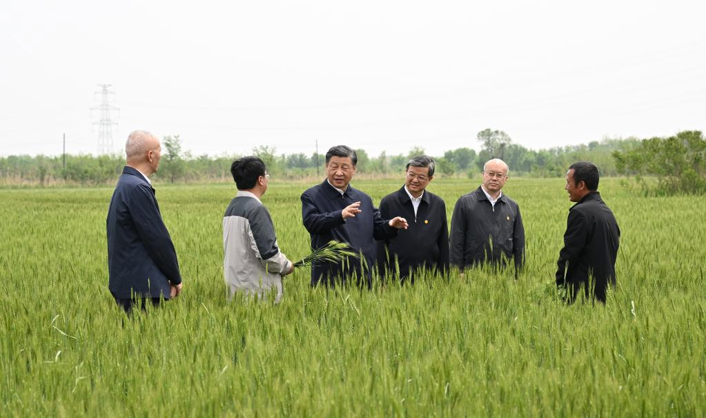 Xi Jinping visita ciudad de Cangzhou en provincia de Hebei