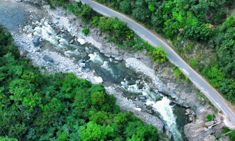 Granja Forestal Houzhenzi: acuarela ecológica de Shaanxi