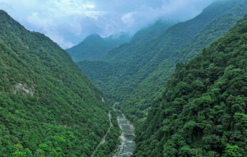 Granja Forestal Houzhenzi: acuarela ecológica de Shaanxi