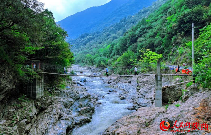 Granja Forestal Houzhenzi: acuarela ecológica de Shaanxi