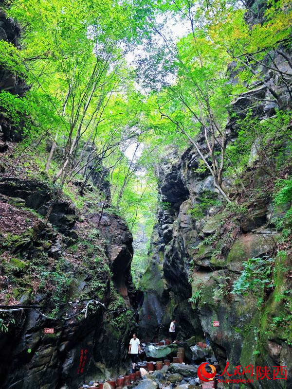 Granja Forestal Houzhenzi: acuarela ecológica de Shaanxi