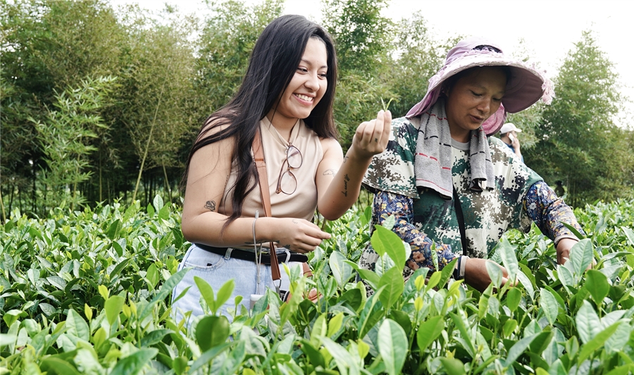 Periodistas latinoamericanos amanecen en Pujiang y Qionglai, el Sichuan profundo que progresa